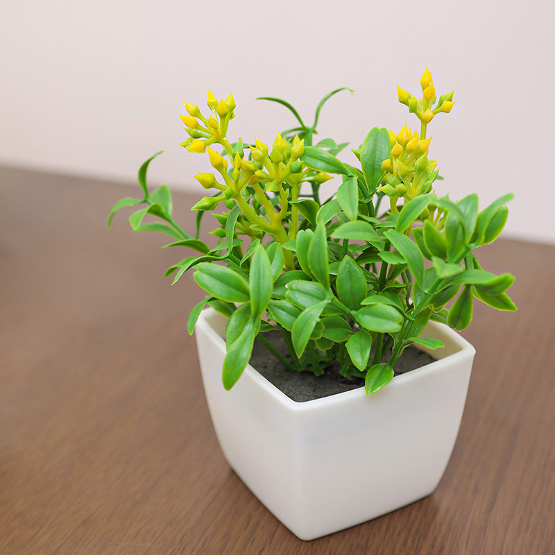 Artificial flower small potted - đánh giá và giá Baby Bookshelf Small